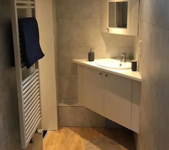 Captain's Cabin: Cosy Flat On A House Boat Bådhotel Strasbourg